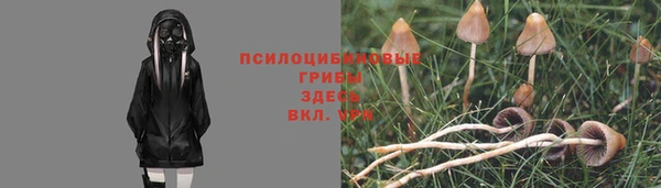 гидра Алексин